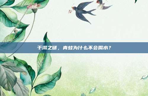 干渴之谜，青蛙为什么不会喝水？