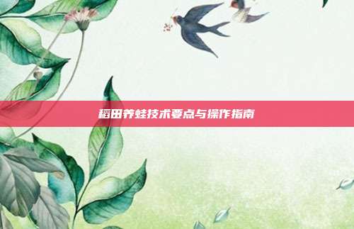 稻田养蛙技术要点与操作指南