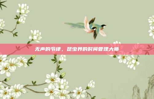 无声的节律，昆虫界的时间管理大师