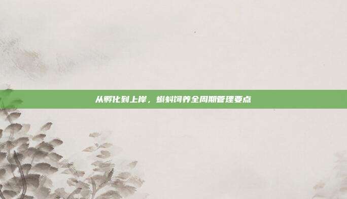 从孵化到上岸，蝌蚪饲养全周期管理要点