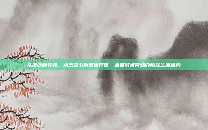 从皮肤到骨骼，从三腔心到双重呼吸—全面解析青蛙的精妙生理结构