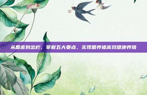 从圈舍到出栏，掌握五大要点，实现圈养猪高效健康养殖