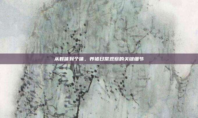 从群体到个体，养猪日常观察的关键细节
