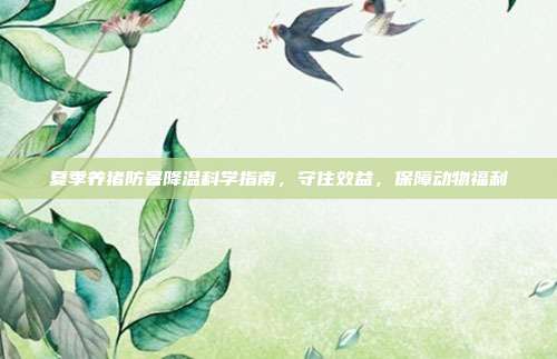 夏季养猪防暑降温科学指南，守住效益，保障动物福利