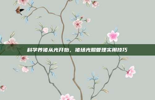 科学养猪从光开始，猪场光照管理实用技巧