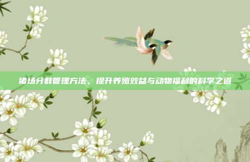 猪场分群管理方法，提升养殖效益与动物福利的科学之道