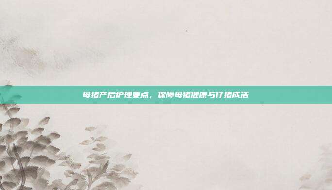母猪产后护理要点，保障母猪健康与仔猪成活
