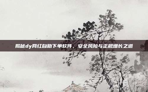 揭秘dy网红自助下单软件，安全风险与正规增长之道