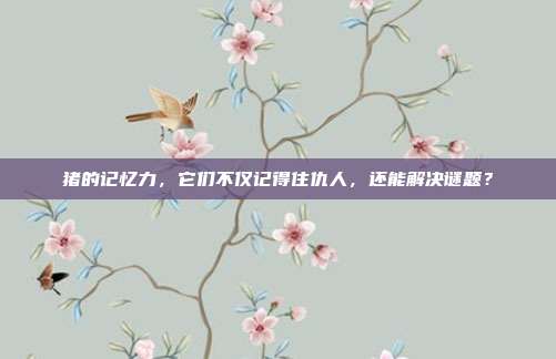 猪的记忆力，它们不仅记得住仇人，还能解决谜题？