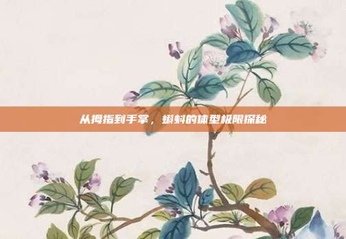 从拇指到手掌，蝌蚪的体型极限探秘