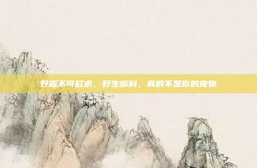 野趣不可缸求，野生蝌蚪，真的不是你的宠物