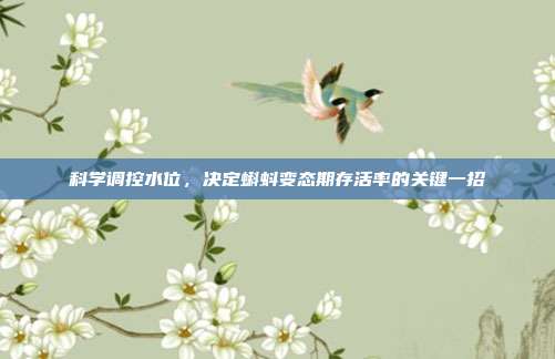 科学调控水位，决定蝌蚪变态期存活率的关键一招
