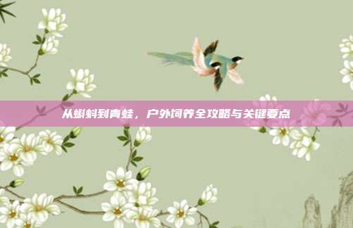 从蝌蚪到青蛙，户外饲养全攻略与关键要点