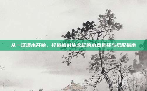 从一汪清水开始，打造蝌蚪生态缸的水草选择与搭配指南