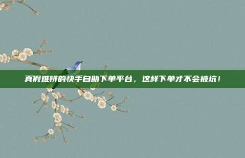 真假难辨的快手自助下单平台，这样下单才不会被坑！