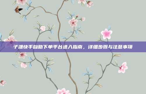 子潇快手自助下单平台进入指南，详细步骤与注意事项