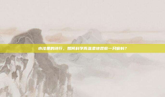 水洼里的诗行，如何科学而温柔地观察一只蝌蚪？