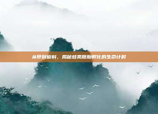 从卵到蝌蚪，揭秘蛙类胚胎孵化的生命计时