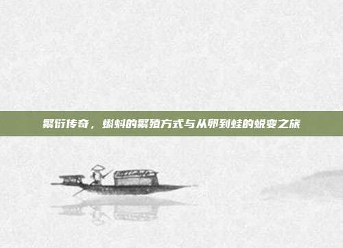 繁衍传奇，蝌蚪的繁殖方式与从卵到蛙的蜕变之旅