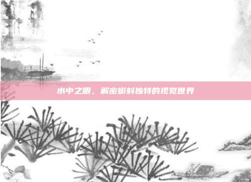 水中之眼，解密蝌蚪独特的视觉世界