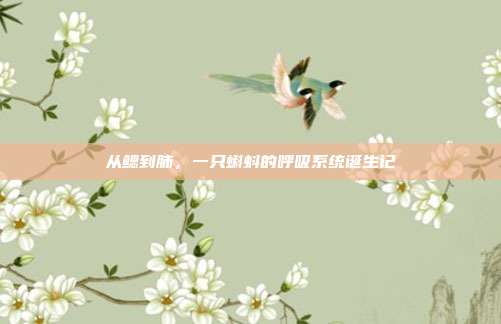 从鳃到肺，一只蝌蚪的呼吸系统诞生记