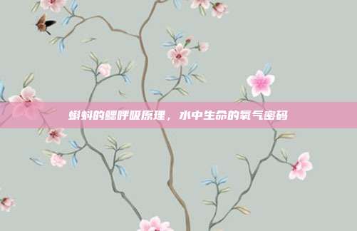 蝌蚪的鳃呼吸原理，水中生命的氧气密码