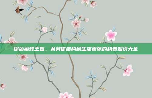 探秘蜜蜂王国，从身体结构到生态贡献的科普知识大全
