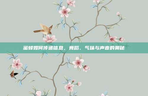 蜜蜂如何传递信息，舞蹈、气味与声音的奥秘