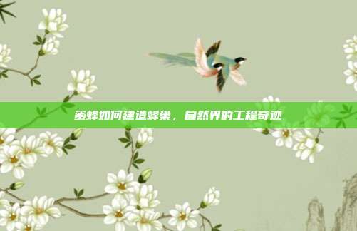蜜蜂如何建造蜂巢，自然界的工程奇迹