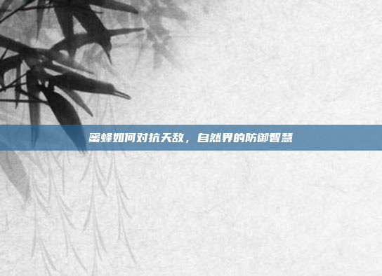 蜜蜂如何对抗天敌，自然界的防御智慧