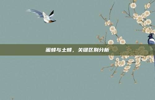 蜜蜂与土蜂，关键区别分析