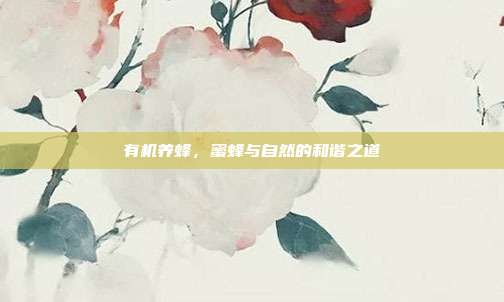 有机养蜂，蜜蜂与自然的和谐之道