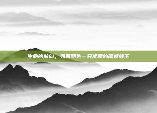 生命的航向，如何甄选一只优质的蜜蜂蜂王