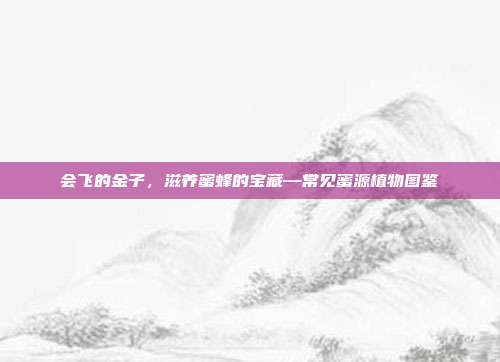 会飞的金子，滋养蜜蜂的宝藏—常见蜜源植物图鉴