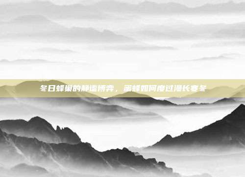 冬日蜂巢的静谧博弈，蜜蜂如何度过漫长寒冬