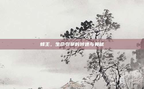 蜂王，生命引擎的转速与奥秘