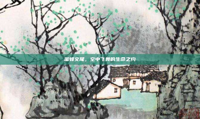 蜜蜂交尾，空中飞舞的生命之约