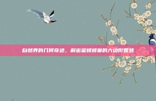 自然界的几何奇迹，解密蜜蜂蜂巢的六边形智慧
