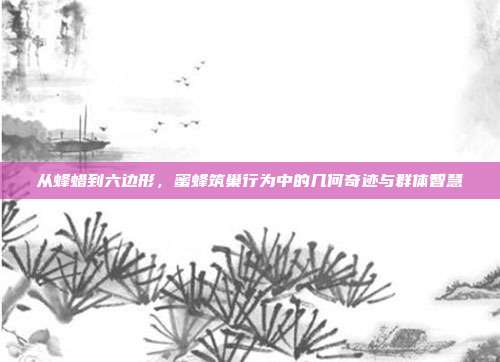 从蜂蜡到六边形，蜜蜂筑巢行为中的几何奇迹与群体智慧