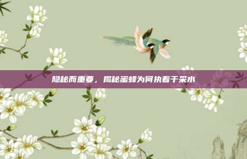 隐秘而重要，揭秘蜜蜂为何执着于采水