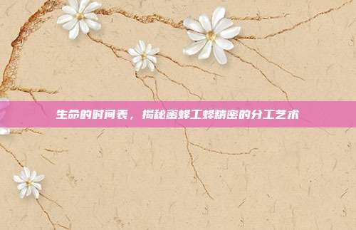 生命的时间表，揭秘蜜蜂工蜂精密的分工艺术