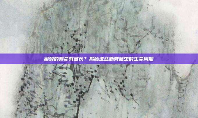 蜜蜂的寿命有多长？揭秘这些勤劳昆虫的生命周期