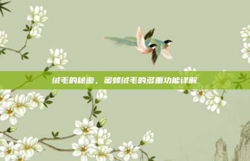绒毛的秘密，蜜蜂绒毛的多重功能详解