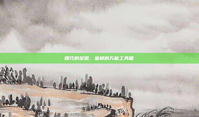 精巧的足器，蜜蜂的万能工具箱