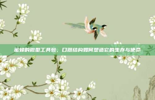 蜜蜂的微型工具包，口器结构如何塑造它的生存与使命