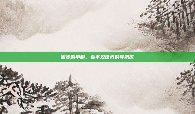 蜜蜂的单眼，看不见世界的导航仪
