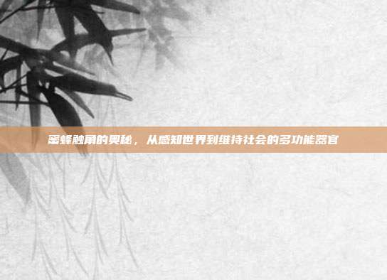 蜜蜂触角的奥秘，从感知世界到维持社会的多功能器官