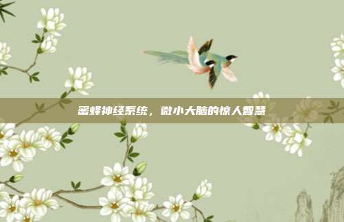 蜜蜂神经系统，微小大脑的惊人智慧