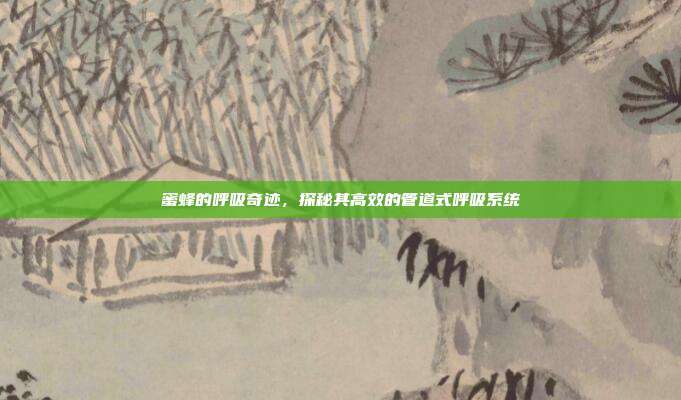 蜜蜂的呼吸奇迹，探秘其高效的管道式呼吸系统