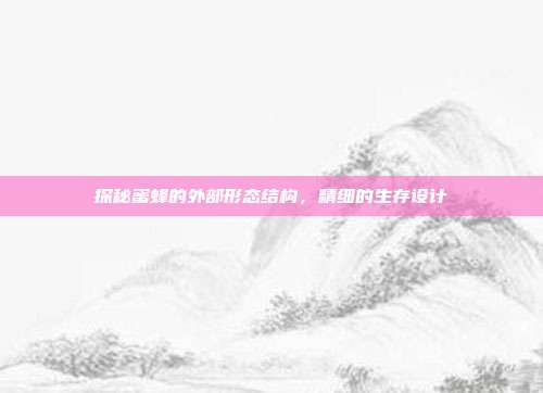 探秘蜜蜂的外部形态结构，精细的生存设计